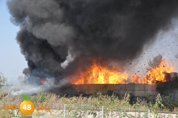 firecartoonsecnd506 (10).JPG